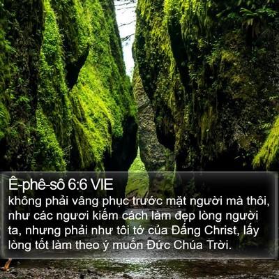 Ê-phê-sô 6:6 VIE Bible Verse Image