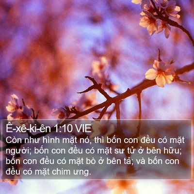 Ê-xê-ki-ên 1:10 VIE Bible Verse Image