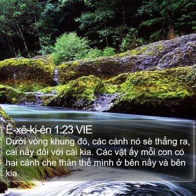 Ê-xê-ki-ên 1:23 VIE Bible Verse Image