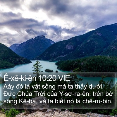 Ê-xê-ki-ên 10:20 VIE Bible Verse Image