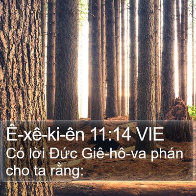 Ê-xê-ki-ên 11:14 VIE Bible Verse Image