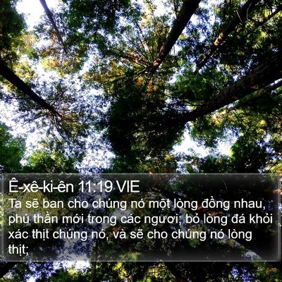 Ê-xê-ki-ên 11:19 VIE Bible Verse Image