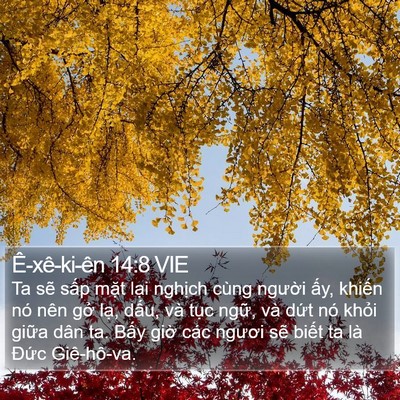 Ê-xê-ki-ên 14:8 VIE Bible Verse Image