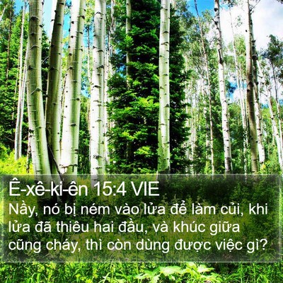 Ê-xê-ki-ên 15:4 VIE Bible Verse Image