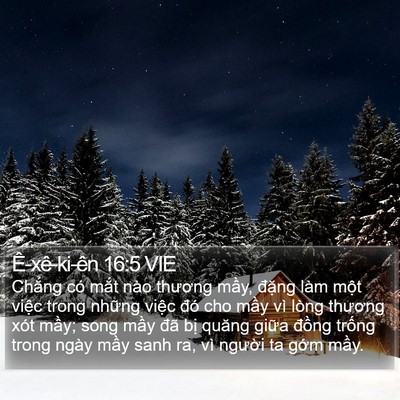 Ê-xê-ki-ên 16:5 VIE Bible Verse Image