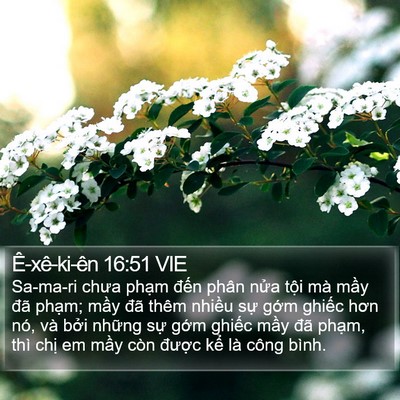 Ê-xê-ki-ên 16:51 VIE Bible Verse Image