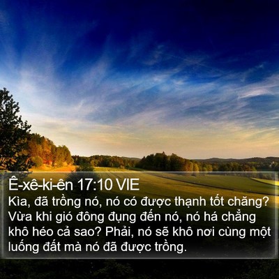 Ê-xê-ki-ên 17:10 VIE Bible Verse Image