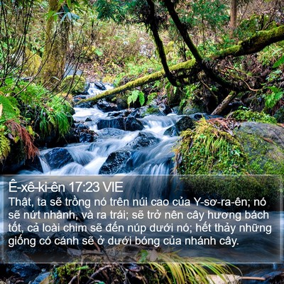Ê-xê-ki-ên 17:23 VIE Bible Verse Image