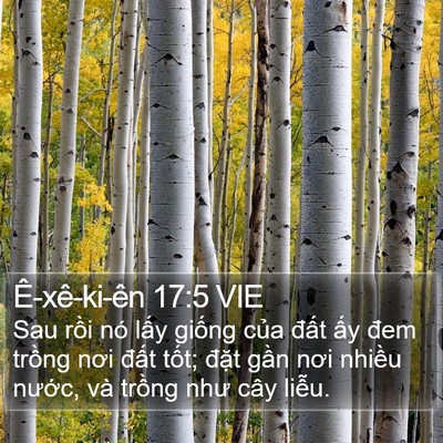 Ê-xê-ki-ên 17:5 VIE Bible Verse Image