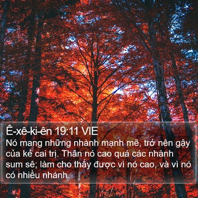 Ê-xê-ki-ên 19:11 VIE Bible Verse Image
