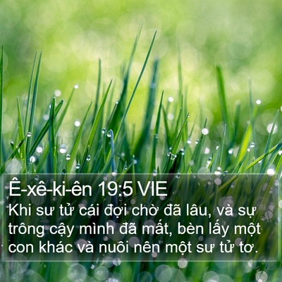 Ê-xê-ki-ên 19:5 VIE Bible Verse Image