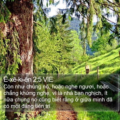 Ê-xê-ki-ên 2:5 VIE Bible Verse Image