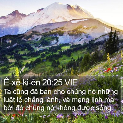 Ê-xê-ki-ên 20:25 VIE Bible Verse Image