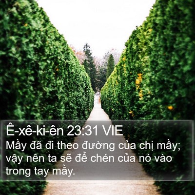 Ê-xê-ki-ên 23:31 VIE Bible Verse Image