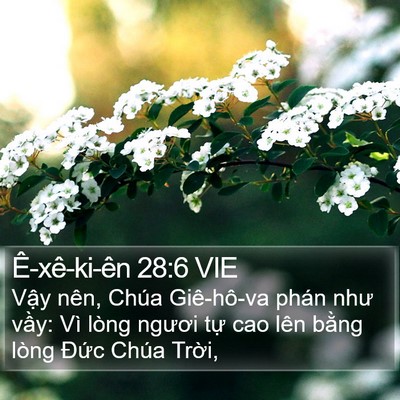 Ê-xê-ki-ên 28:6 VIE Bible Verse Image