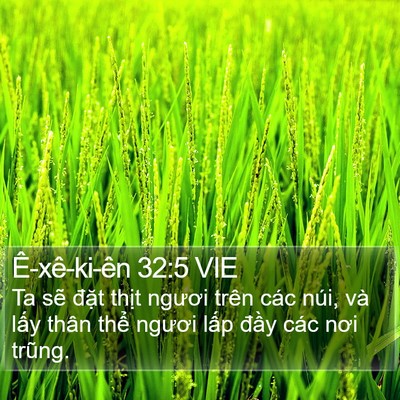 Ê-xê-ki-ên 32:5 VIE Bible Verse Image