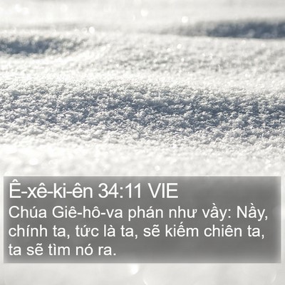 Ê-xê-ki-ên 34:11 VIE Bible Verse Image
