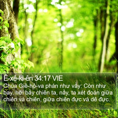 Ê-xê-ki-ên 34:17 VIE Bible Verse Image