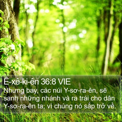 Ê-xê-ki-ên 36:8 VIE Bible Verse Image