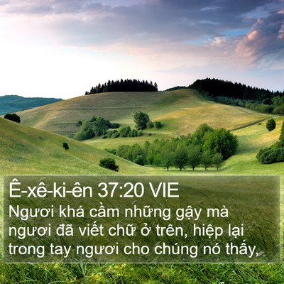 Ê-xê-ki-ên 37:20 VIE Bible Verse Image