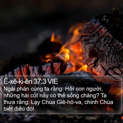 Ê-xê-ki-ên 37:3 VIE Bible Verse Image