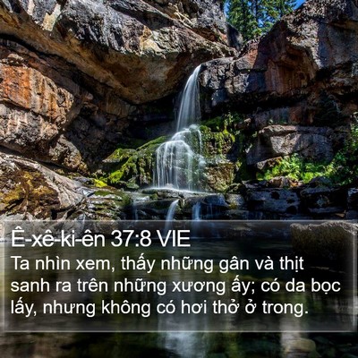 Ê-xê-ki-ên 37:8 VIE Bible Verse Image