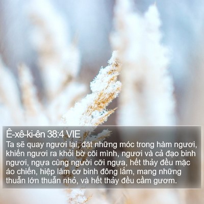 Ê-xê-ki-ên 38:4 VIE Bible Verse Image