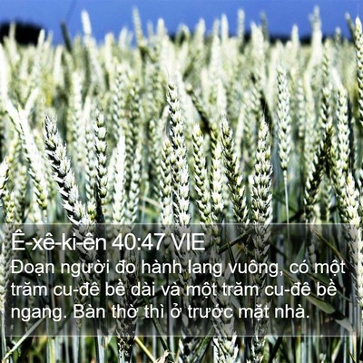 Ê-xê-ki-ên 40:47 VIE Bible Verse Image