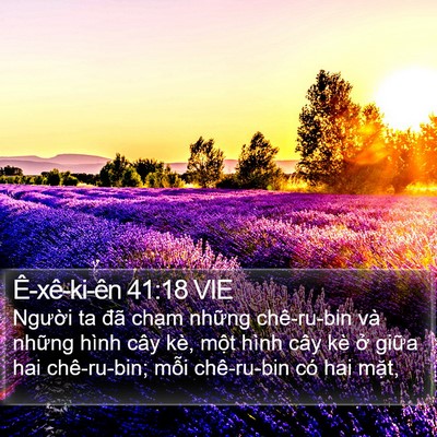 Ê-xê-ki-ên 41:18 VIE Bible Verse Image