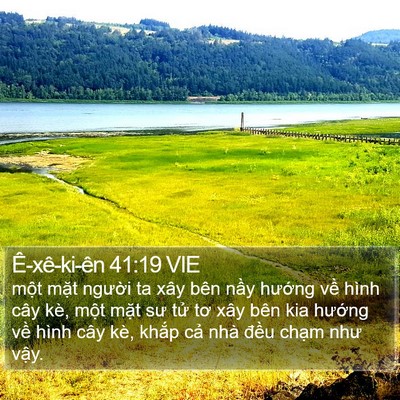 Ê-xê-ki-ên 41:19 VIE Bible Verse Image