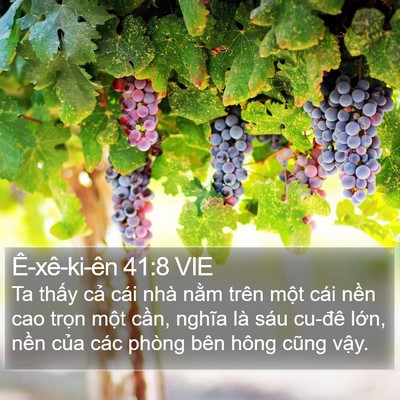Ê-xê-ki-ên 41:8 VIE Bible Verse Image