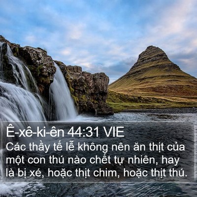 Ê-xê-ki-ên 44:31 VIE Bible Verse Image