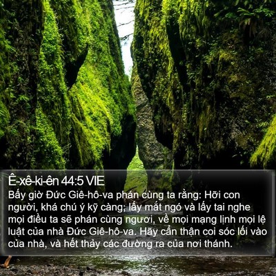 Ê-xê-ki-ên 44:5 VIE Bible Verse Image
