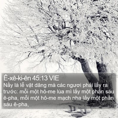 Ê-xê-ki-ên 45:13 VIE Bible Verse Image