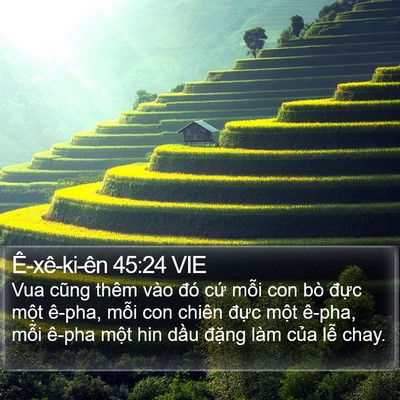 Ê-xê-ki-ên 45:24 VIE Bible Verse Image