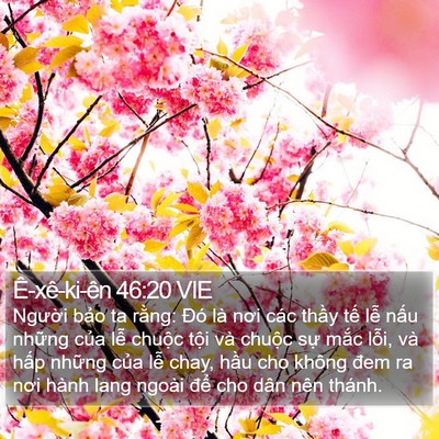 Ê-xê-ki-ên 46:20 VIE Bible Verse Image