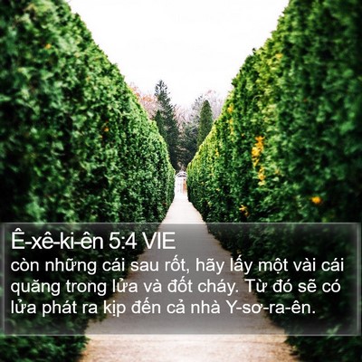 Ê-xê-ki-ên 5:4 VIE Bible Verse Image