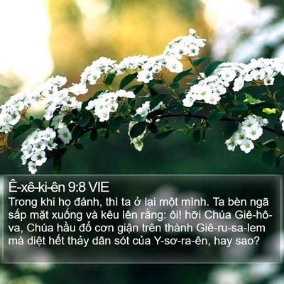 Ê-xê-ki-ên 9:8 VIE Bible Verse Image