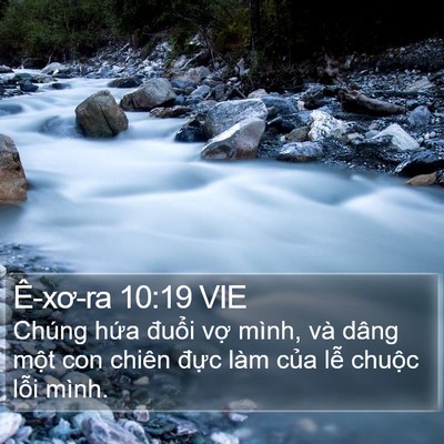 Ê-xơ-ra 10:19 VIE Bible Verse Image