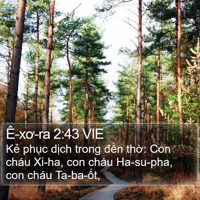 Ê-xơ-ra 2:43 VIE Bible Verse Image
