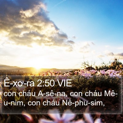 Ê-xơ-ra 2:50 VIE Bible Verse Image