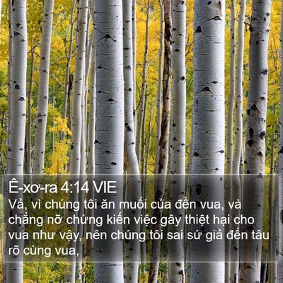 Ê-xơ-ra 4:14 VIE Bible Verse Image