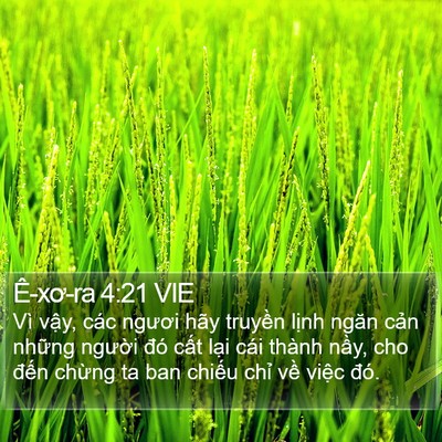 Ê-xơ-ra 4:21 VIE Bible Verse Image