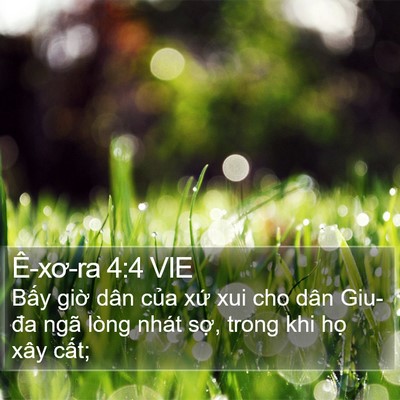 Ê-xơ-ra 4:4 VIE Bible Verse Image