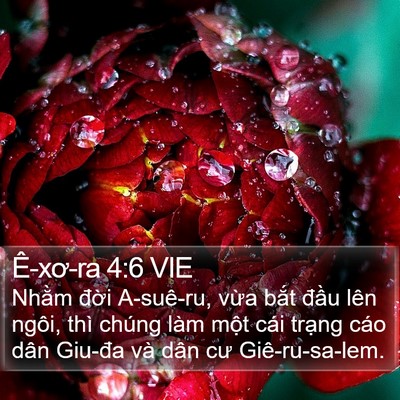 Ê-xơ-ra 4:6 VIE Bible Verse Image