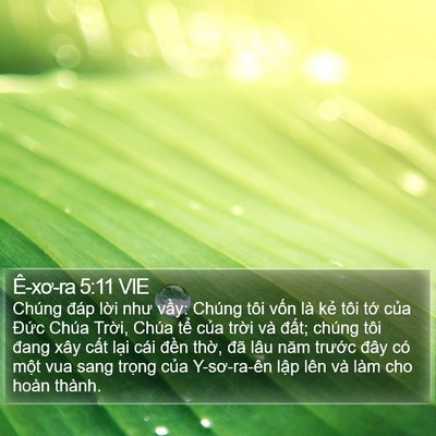 Ê-xơ-ra 5:11 VIE Bible Verse Image
