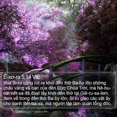 Ê-xơ-ra 5:14 VIE Bible Verse Image