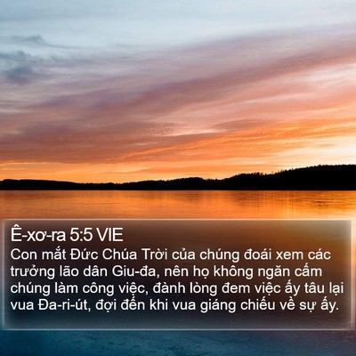 Ê-xơ-ra 5:5 VIE Bible Verse Image