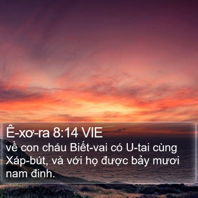Ê-xơ-ra 8:14 VIE Bible Verse Image
