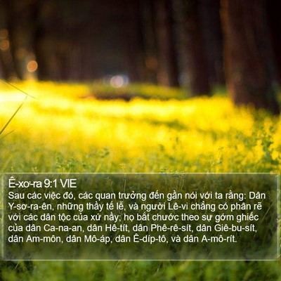 Ê-xơ-ra 9:1 VIE Bible Verse Image